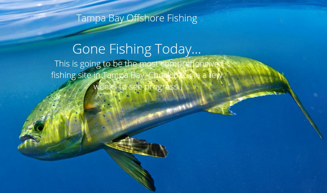 Tampa Bay Offshore Fishing